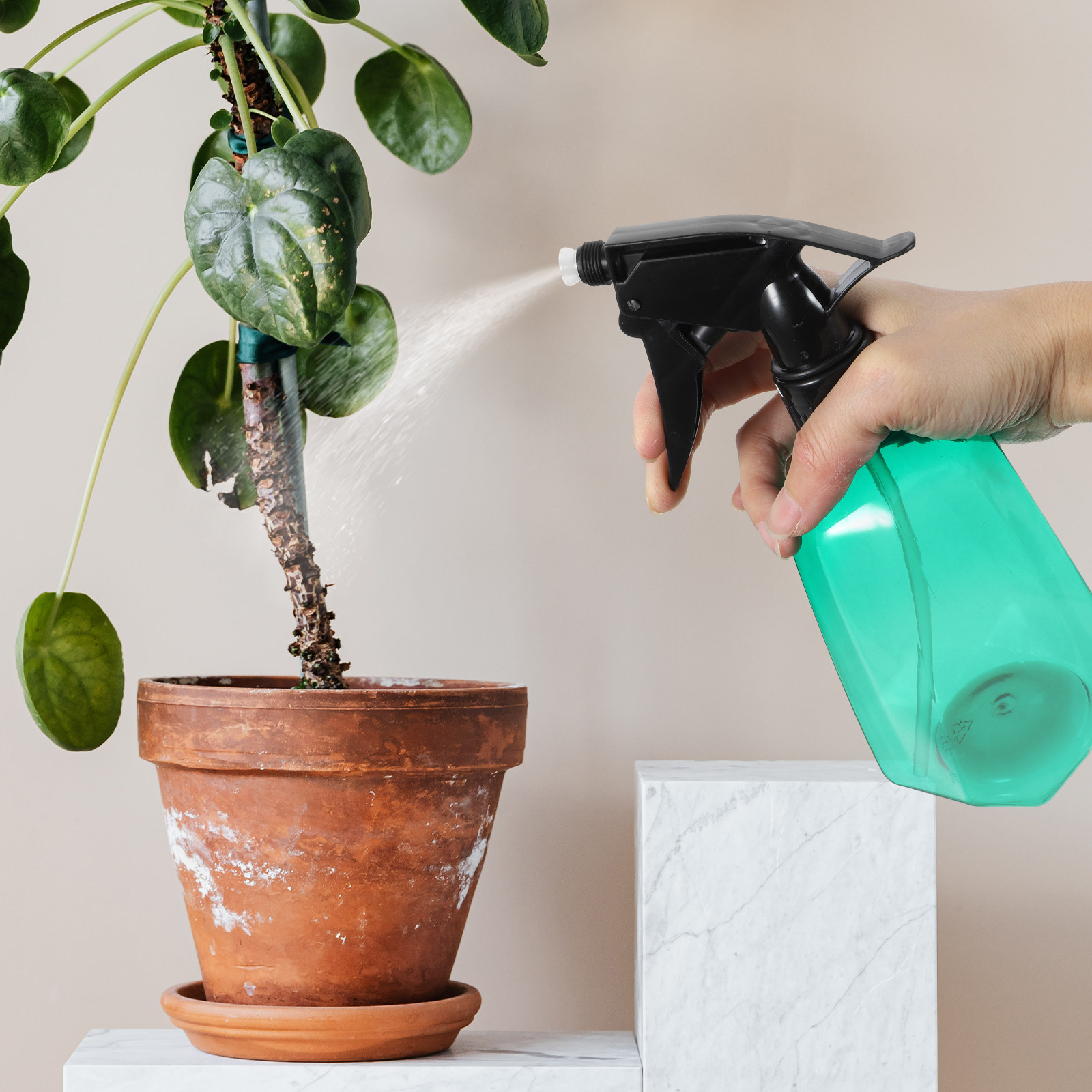 Home Office With Plants - กระบอกฉีดน้ำรดต้นไม้แบบใช้ซ้ำได้ 2 ชิ้น ขวดพลาสติกน้ำหนักเบา พกพาสะดวก สำหรับรดน้ำต้นไม้ในบ้านและสำนักงาน