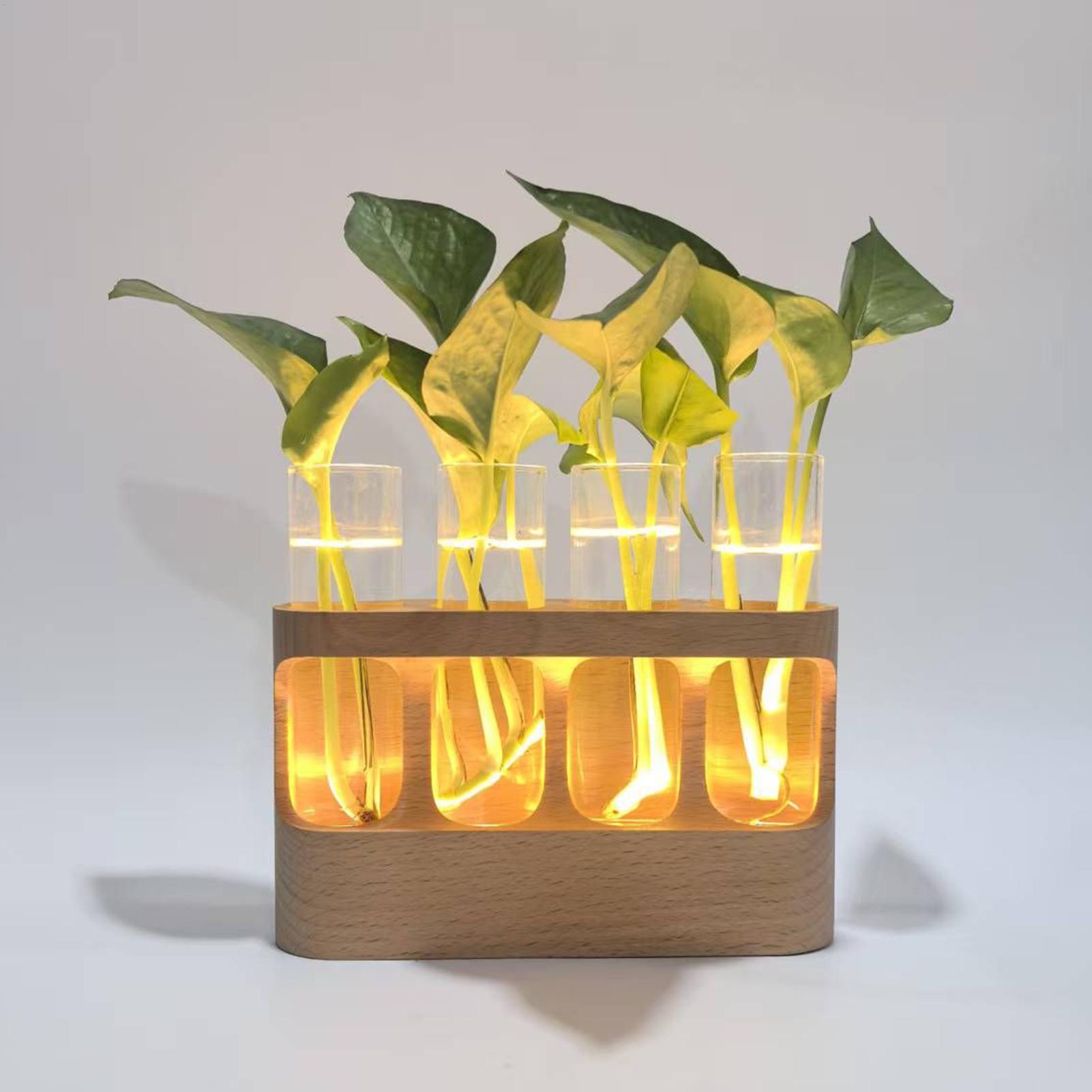 สถานีเพาะพันธุ์พืชแบบ LED ไฮโด - Home Office With Plants บทวิจารณ์และราคา