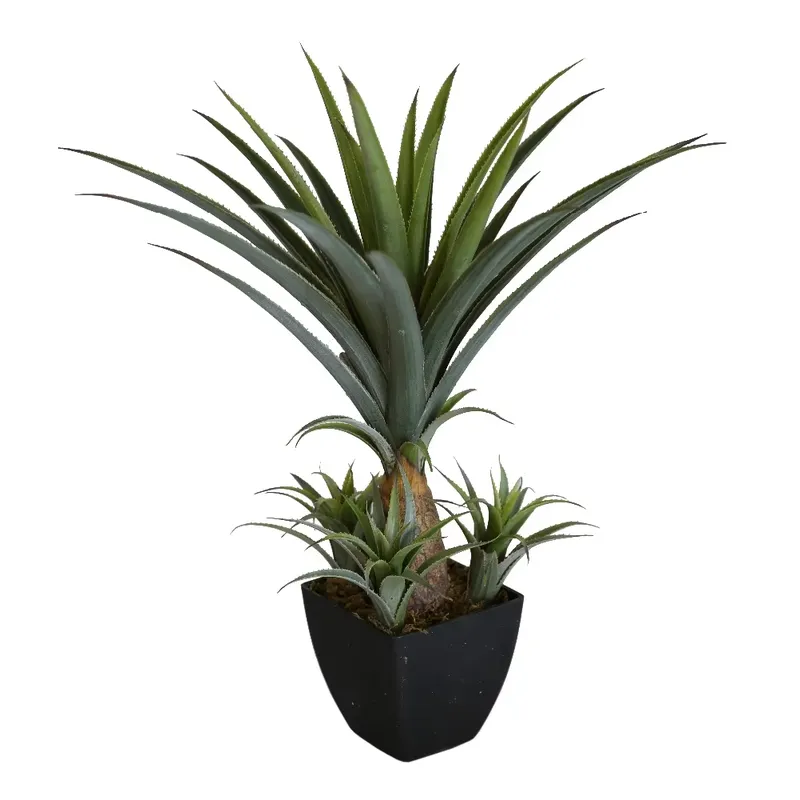 ต้นอะกาเว่ประดิษฐ์ดีไซน์ใหม่สำ - Home Office With Plants บทวิจารณ์และราคา