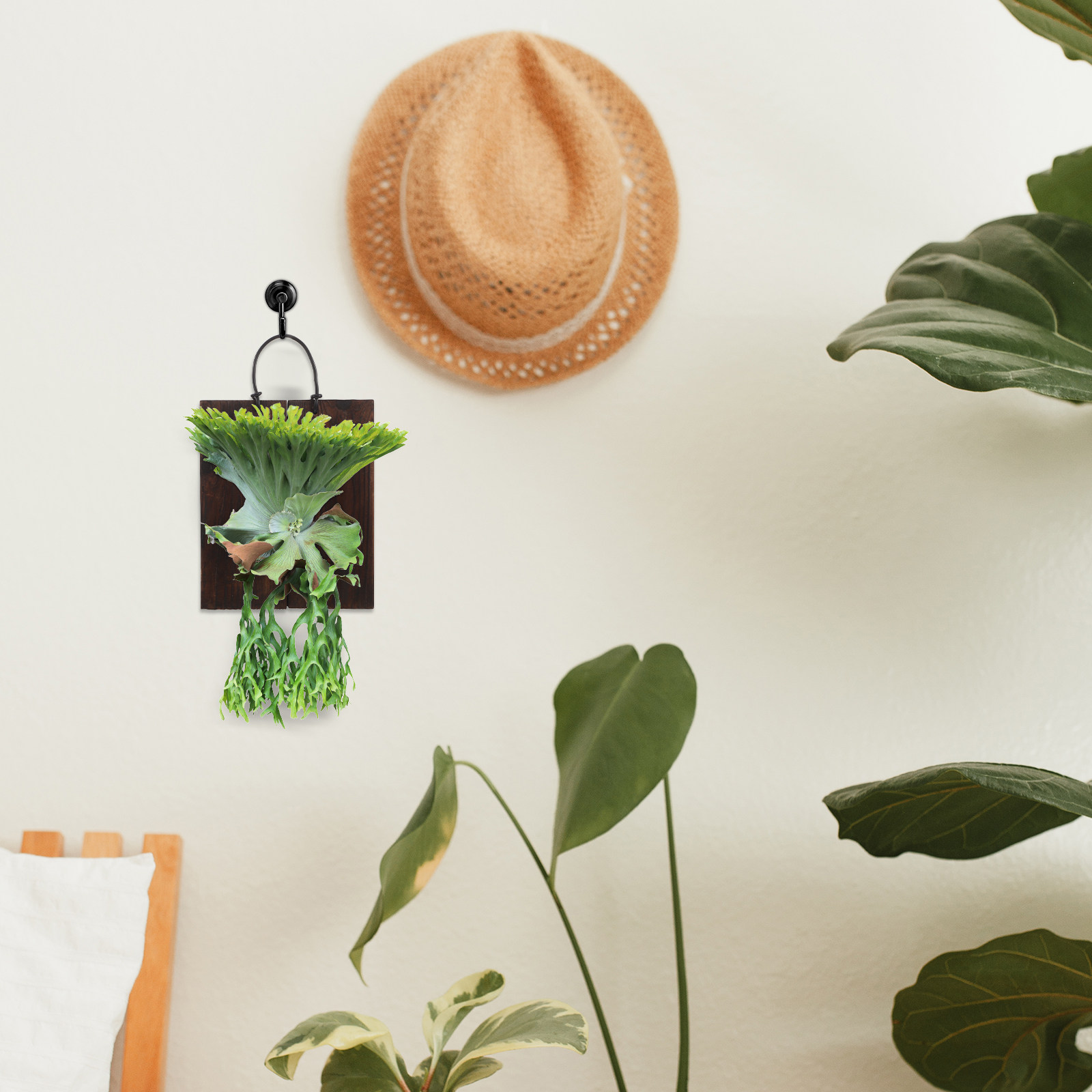 แผ่นไม้สำหรับติดตั้งเฟิร์นสตาฮ - Home Office With Plants บทวิจารณ์และราคา