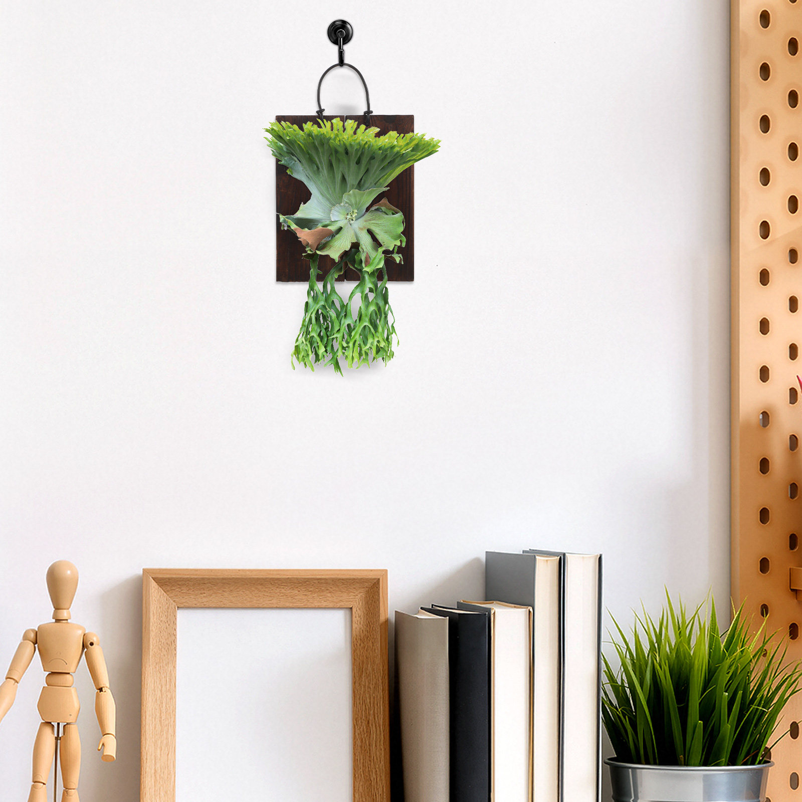 แผ่นไม้สำหรับติดตั้งเฟิร์นสตาฮ - Home Office With Plants บทวิจารณ์และราคา