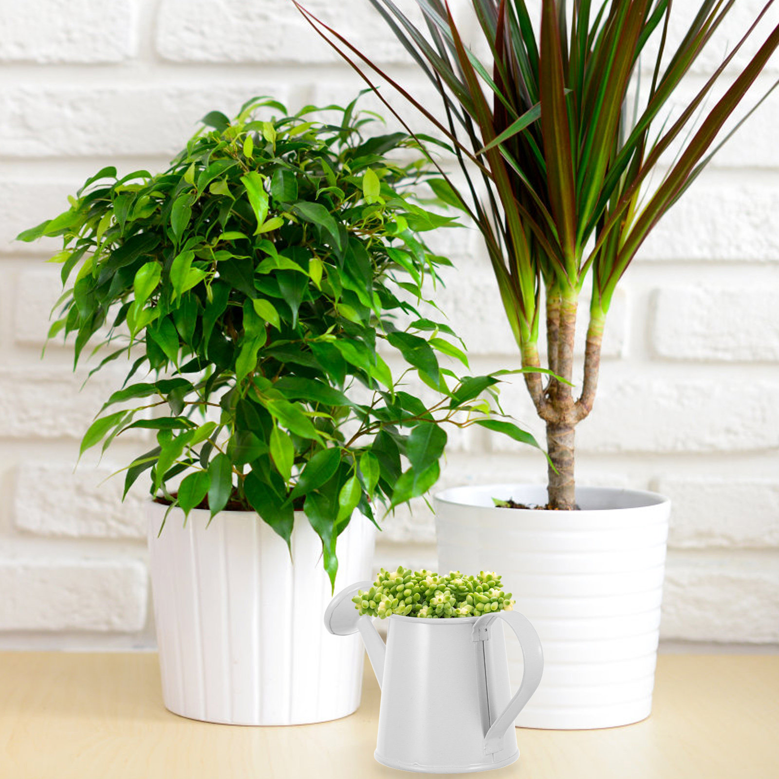 กระบอกน้ำรดต้นไม้ขนาดเล็กสำหรั - Home Office With Plants บทวิจารณ์และราคา