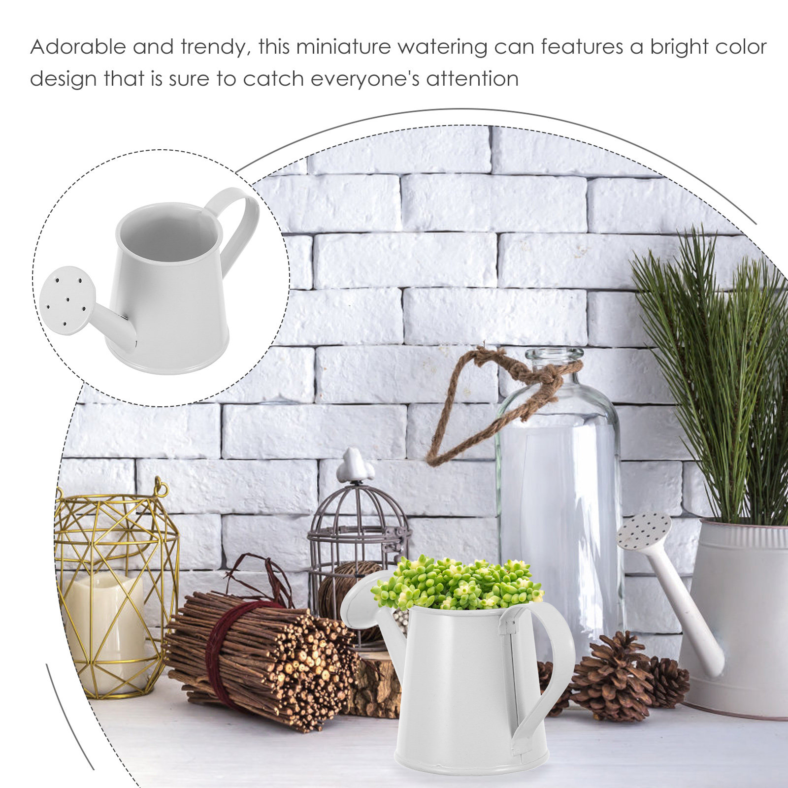 กระบอกน้ำรดต้นไม้ขนาดเล็กสำหรั - Home Office With Plants บทวิจารณ์และราคา